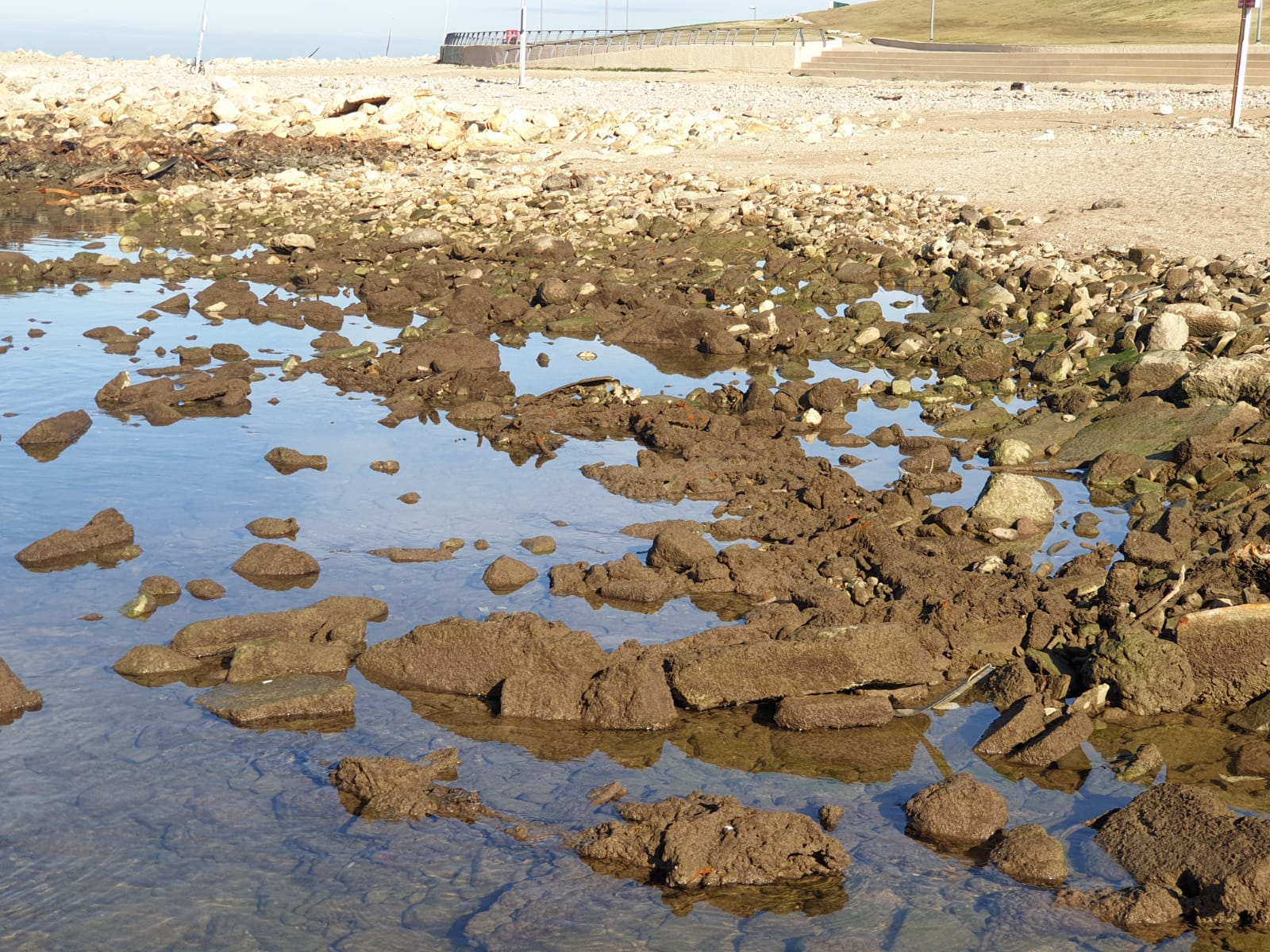 WhatsApp Image 2020-01-27 at 9.04.51 AM.jpeg.jpeg